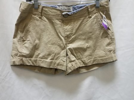 Shorts By Aeropostale  Size: S For Cheap