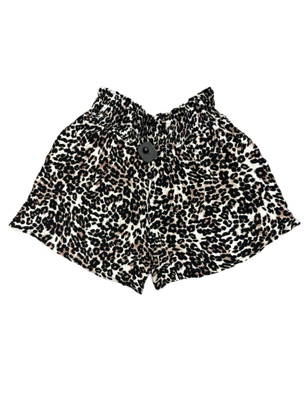 Shorts By Three Dots  Size: 20 Online Sale